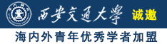 骚妇野外草逼视频诚邀海内外青年优秀学者加盟西安交通大学