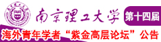 日本小骚逼南京理工大学第十四届海外青年学者紫金论坛诚邀海内外英才！